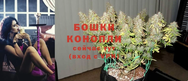 эйфоретик Новодвинск