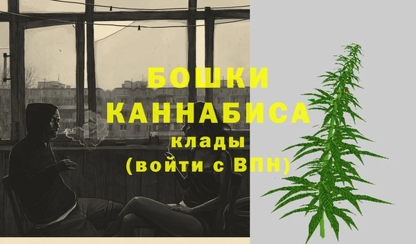 первитин Няндома