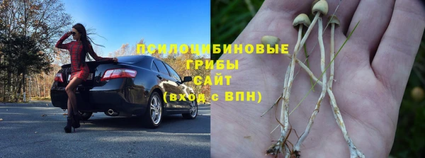 ALPHA PVP Новозыбков