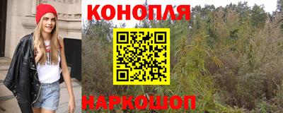 спиды Кимры