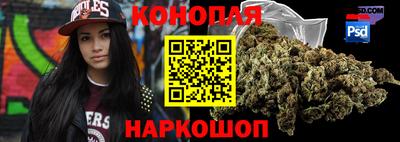 Альфа ПВП Кингисепп