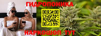 Альфа ПВП Кингисепп