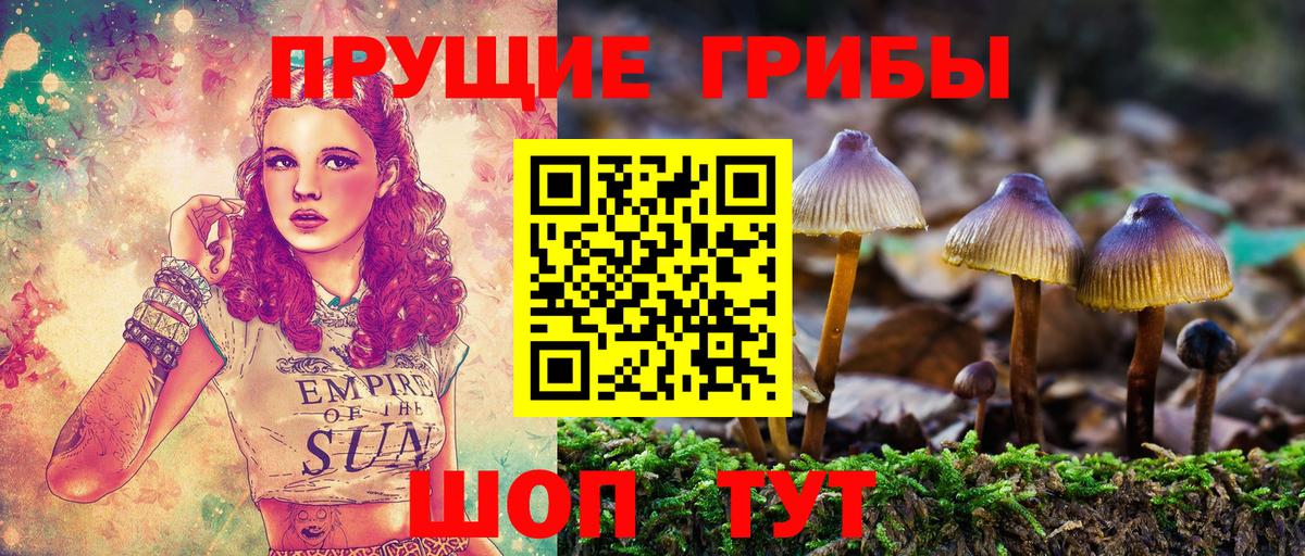 Галлюциногенные грибы мицелий  Советская Гавань 