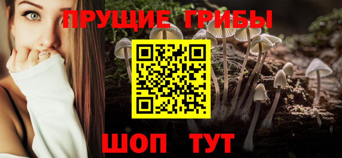 Галлюциногенные грибы Magic Shrooms  Вход с VPN  закладка  Псилоцибиновые грибы Magic Shrooms  Советская Гавань 