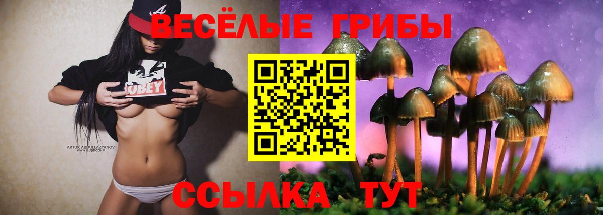 Псилоцибиновые грибы мицелий Советская Гавань